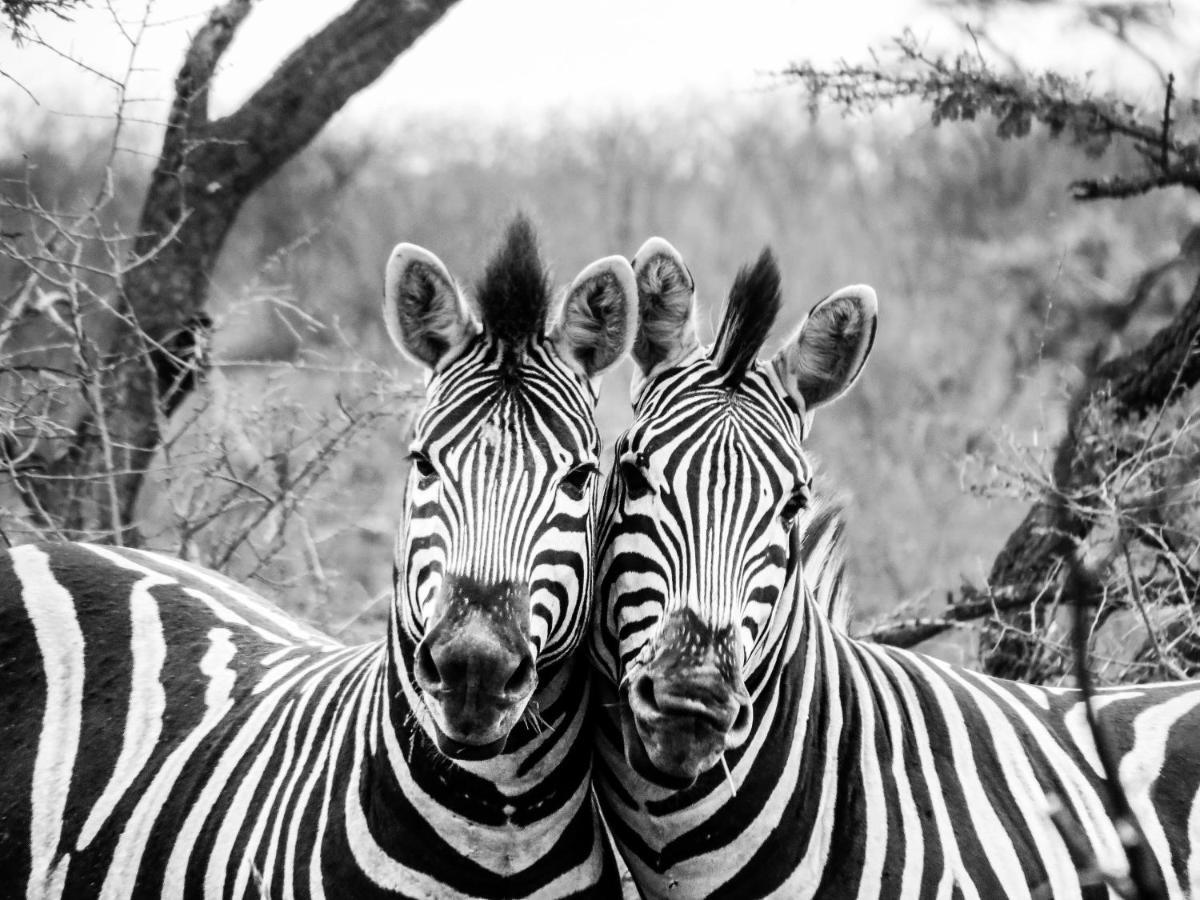 African Spirit Game Lodge Mkuze Экстерьер фото