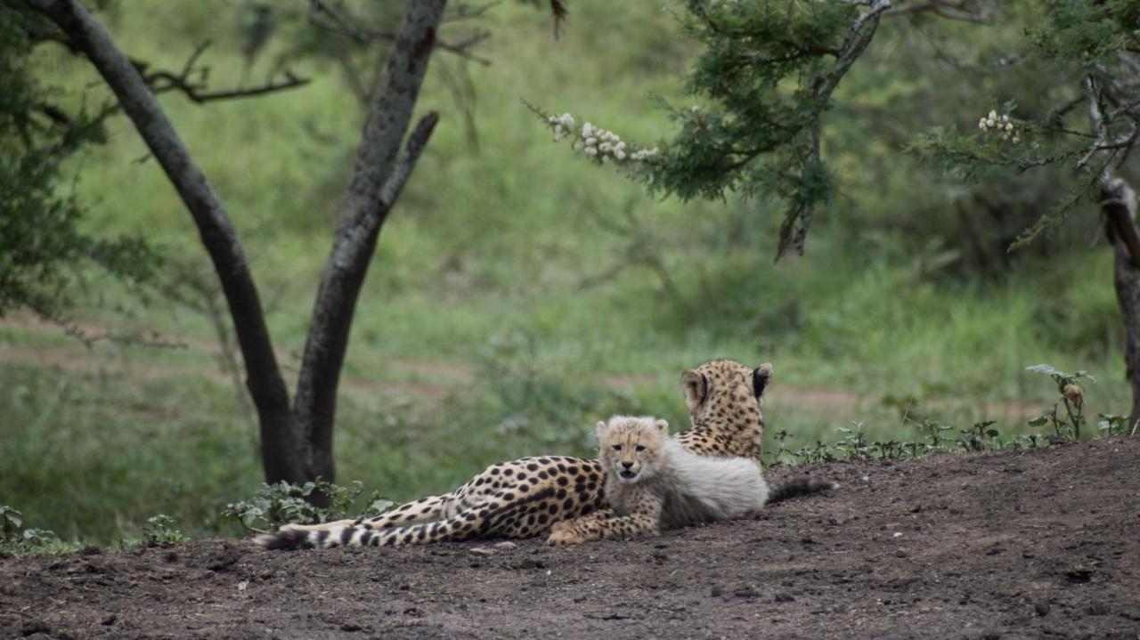 African Spirit Game Lodge Mkuze Экстерьер фото